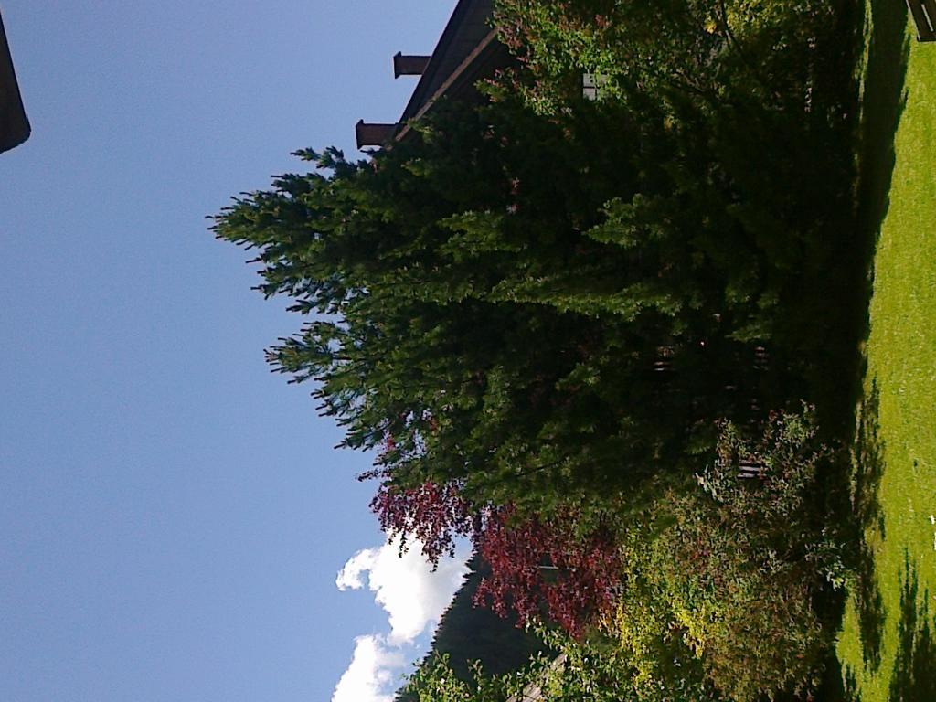 Ferienhaus Zipfmatl Keusche Bad Kleinkirchheim Zewnętrze zdjęcie